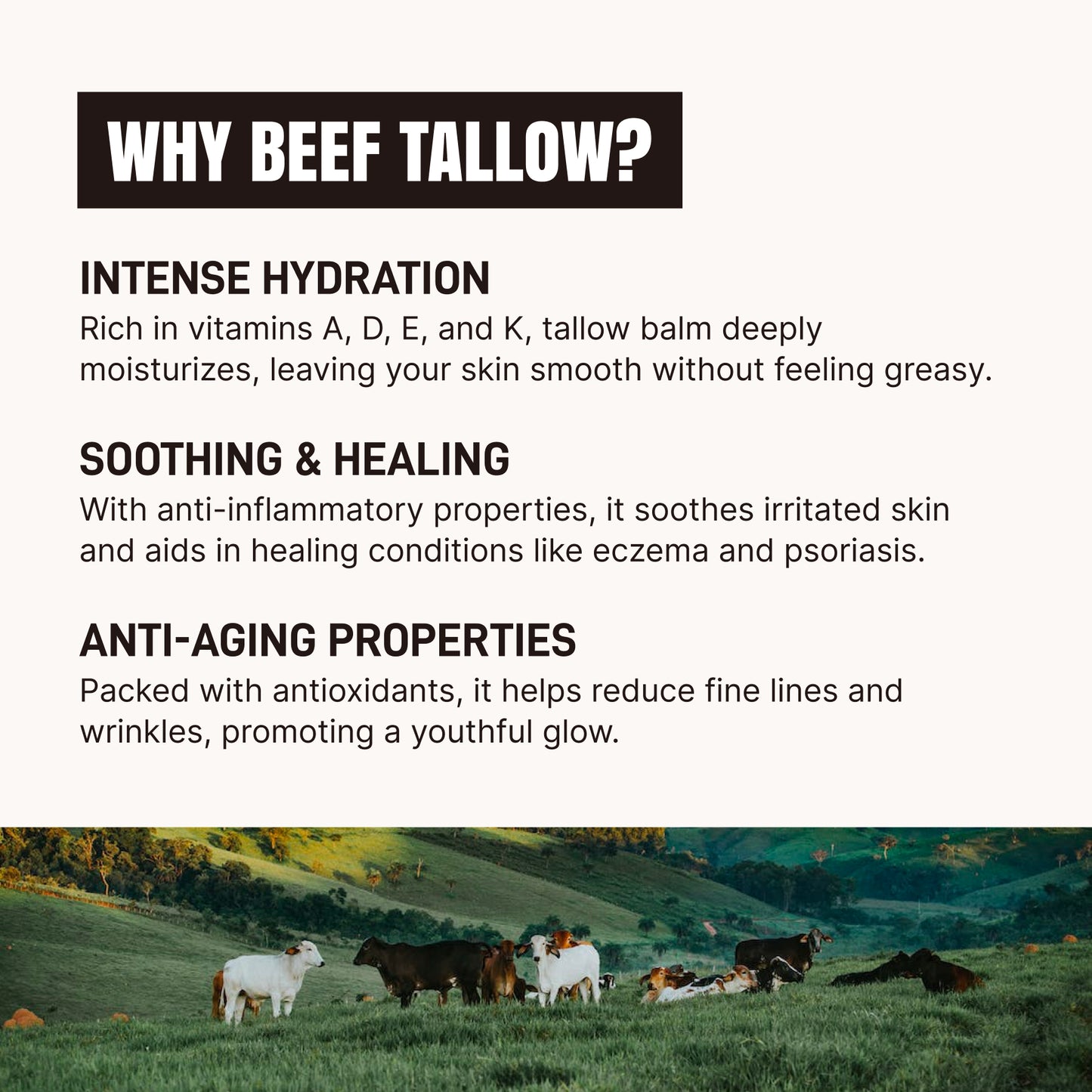 All Purpose Tallow Balm